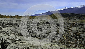 Old lava bed covered in lichen with mountains in the background