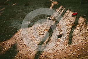 Old leaf and small flower is falling on the ground