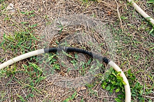 Old leaky hose