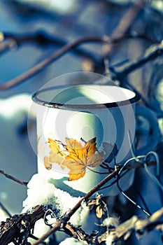 Old leaky mug and winter garden. Winter in Canada