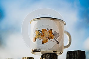 Old leaky mug and winter garden. Winter in Canada