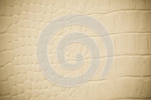 Old Leather Background Or Texture