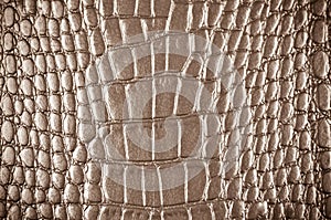 Old Leather Background Or Texture