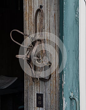 Old Leather Bridle Hangs On Wall