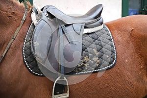 Old leather saddle with stirrups for show jumping race