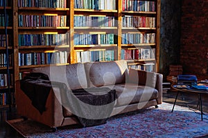old leather sofa in library. sunlit Many books in closet. International Book Day. Libraries Day. Reader's Day.