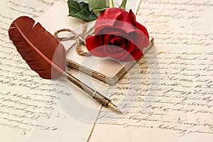 Old letters, rose flower and antique feather pen