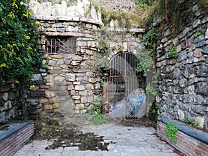 Old library  abandoned-garden puerta oscura-malaga