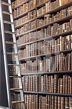 Old Library section with ladder and vintage books