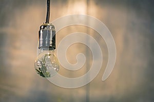 Old light bulb in a dusty retro base