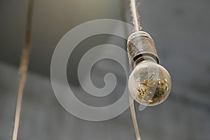 Old light bulb in a dusty retro base