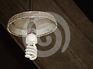 Old light bulb