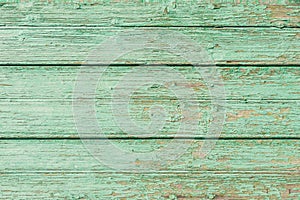 Old light green colored wood texture, close-up