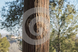 Old light pole made of wood in detail.