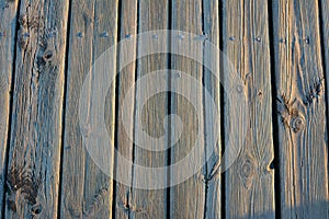 Old Light wooden board with well visible structure of wood covered with frost