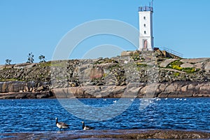 old lighthouse of Fiskar Island, pair of geese