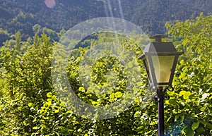 La luz en medio de Bosque en montana 