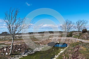 Old limestone stonebridge in a plain landscape