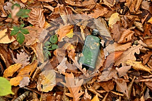 Old liquor bottle in autumnal painted leaves