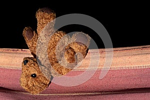 An old little brown plush bear lies next to a fabric hammock. The stuffed animal has obviously been forgotten and is lying upside photo