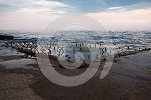 Old little posts in the sea. Remains of pier. Beautiful seascape. Calm blue sea and beautiful sky with clouds