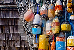 Old Lobster Buoys photo