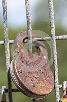 Old Lock on a Weathered Fence in Ottawa, Ontario