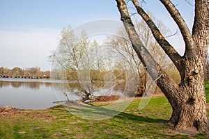 Old locked bridge at the Auensee in Leipzig