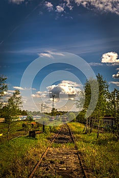 Old locomotives in train cemetery