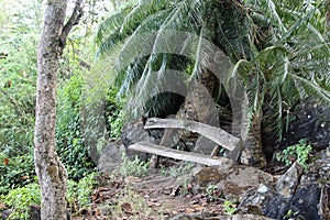 Old log bench in the forest.