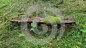 Old log bench with moss on green forest lawn