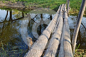 Old log bridge over a small river.