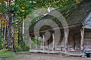 Old log cabin in the wooded forest of evergreen trees