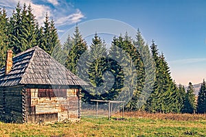 Old log cottage