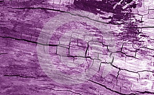 Old log cut macro in purple tone.