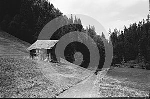 Old log huts for animal shelters in the Swiss Alps, with analogue photgraphy - 2