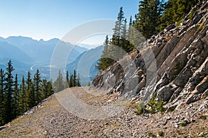 Old logging road near Banff