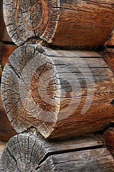Old Logs Background
