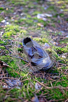 Old lost single shoe in the pine forest