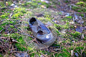 Old lost single shoe in the pine forest