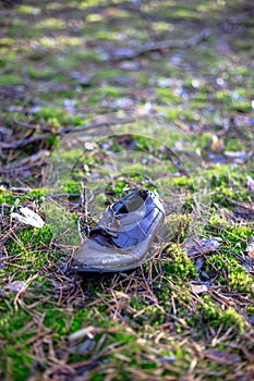 Old lost single shoe in the pine forest