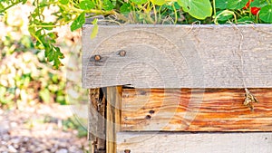 Old makeshift flower planter made of recycled palette wood, for a junk gardening project in garden design, with a rustic image.