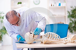 Old senior anthropologist working in the lab