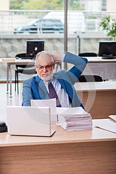 Old male boss employee working in the office