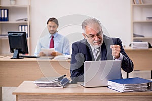 Old male boss and young employee working in the office