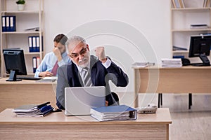 Old male boss and young employee working in the office