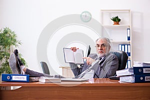 Old male businessman employee reading guidelines in the office