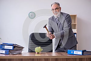 Old male employee holding hammer in budget planning concept