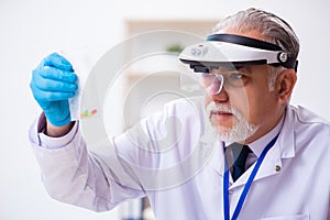 Old male expert criminologist working in the lab for evidence