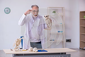 Old male paleontologist examining birds at lab